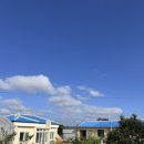 비비엔다 제주 이미지