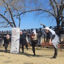 춤과 춤으로 만나다 이미지