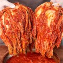 국내산 김치로 건강한 식탁을 만드는 이롬채 김치 후기