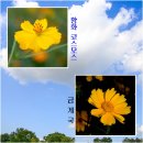 목화공원2 이미지