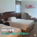 월풀세탁 | 나트랑, 하바나호텔 3박 왜 고평가?(조식, 수영장 후기, 근처 놀거리)