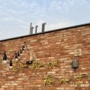 봄앤동물병원 이미지