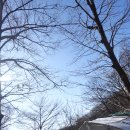 안산(143m). 새능산(173m). 태봉산(312m). 둔지봉(262m). 대지산(안산 229m). 진대산(229m)/경기성남 이미지