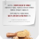 멜로우블랙