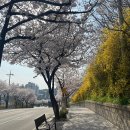 삼척IC 이미지