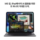 애플엔터테인먼트 | 애플 아이패드 프로 11 M5, 5G+WiFi 후기