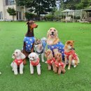 펜션바우 이미지