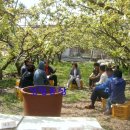 성림농장2 이미지