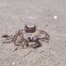 산수장민박 이미지