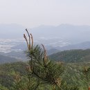 고향산천 이미지