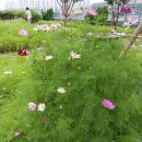 민주주의와 자유민주주의 차이점 이미지