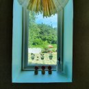 숲속 짱구네 이미지