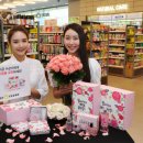 로즈네트웍스 이미지