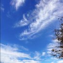 찬주목장 이미지