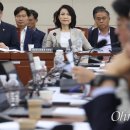 솜방망이 이미지