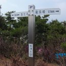 부여(홍산)-04 티스토리