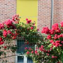 마곡중학교 이미지