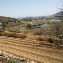 모레골 농장 이미지