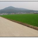 하점면사무소 이미지