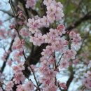 배화학교 이미지