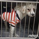 삼산종합동물병원 이미지