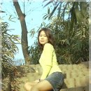 이미지업갤러리