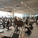 나이스사우나 이미지