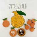 기획연주회(우리 동네 콘서트) | 도겸승관 콘서트 소야곡 인천 막콘 후기 : 승관이가 울리고(P) 도겸이가 뚝 하래