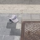 겨울에 만난 책 친구 | 2601 겨울에 태어난 아름다운 나