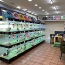 막둥이애견 이미지