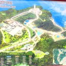 강원특별자치도 낙산사 - 설악산 케이블카 ( 푸른산악회 1박2일 2일차 ) 이미지