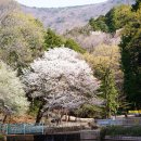 엘앤더슨병원 이미지