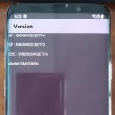 1234피시 이미지