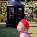 데이드림빌리버 이미지