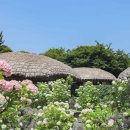 제주민속촌 이미지