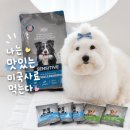 좋은피부 | 강아지 사료 추천, 기호성 좋은 알러지 피부사료 후기