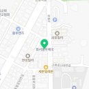 강아지분양 고양이분양 컴투펫 수원점 이미지