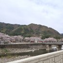 삼척엘림캠핑장 이미지