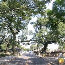 성읍리-5 이미지