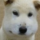 빌리버짐 구의점 이미지