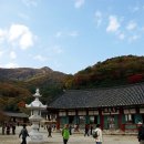 선운사 - 1268 | 선운사