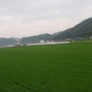 어제와 오늘의 얼굴 이미지