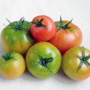 미라클팜 이미지