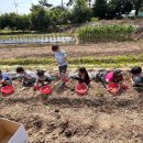 한샘어린이집 이미지