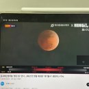 쓰담쓰담 | 3월 | 안하면 그만인데 그만하긴 싫고