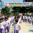 강릉초등학교 이미지