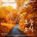 (주)강남오일뱅크 아동파크 | 오늘의 소식 24.11.06