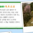 금광산성 이미지
