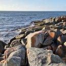 가나목장 이미지