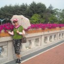 독립농장 이미지